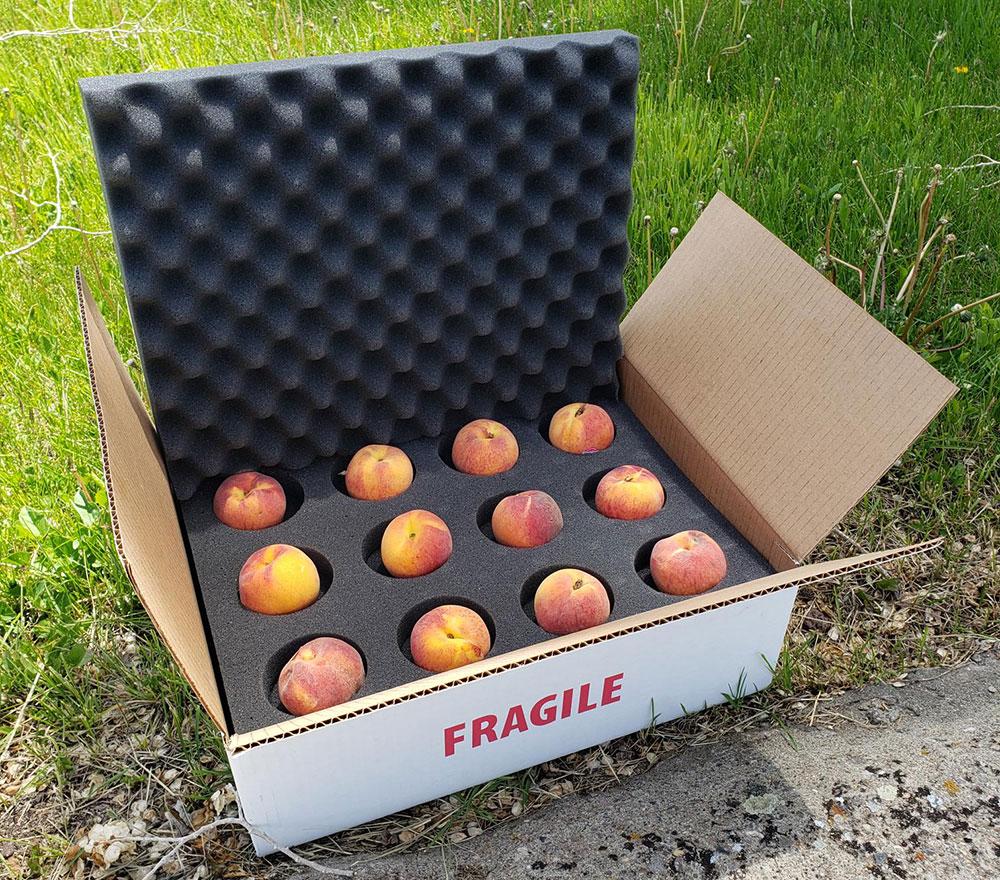 produce foam packaging for peaches